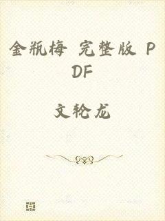 金瓶梅 完整版 PDF